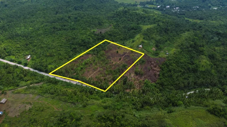 13,914 m² Santa Monica Siargao land with ocean view and natural spring for sale