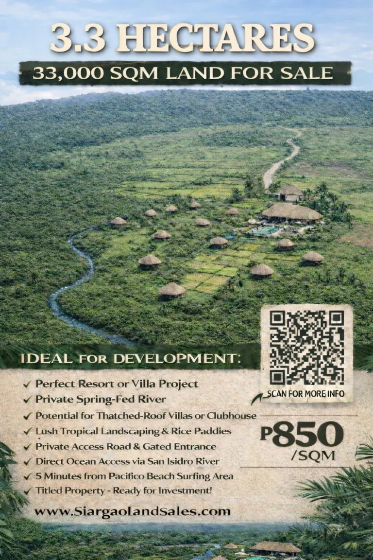 San Isidro River & Spring Development: 3.3 Hectares