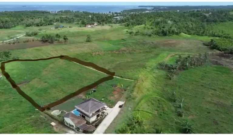 Prime 4,513 m² Hillcrest Estates land for sale in Siargao with private access and sealed road near Cloud 9
