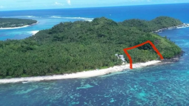Beachfront land for sale on Mamon Island Siargao with white sand and ocean view
